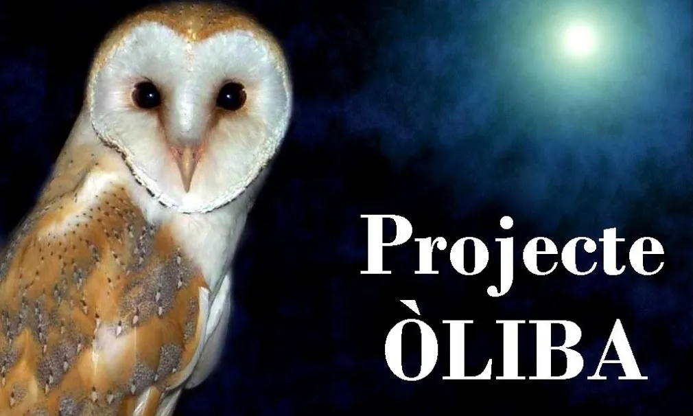 Imatge del projecte Oliba de l'APNAE (imatge; APNAE)