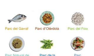 Menú de la app (imatge: diba.cat)