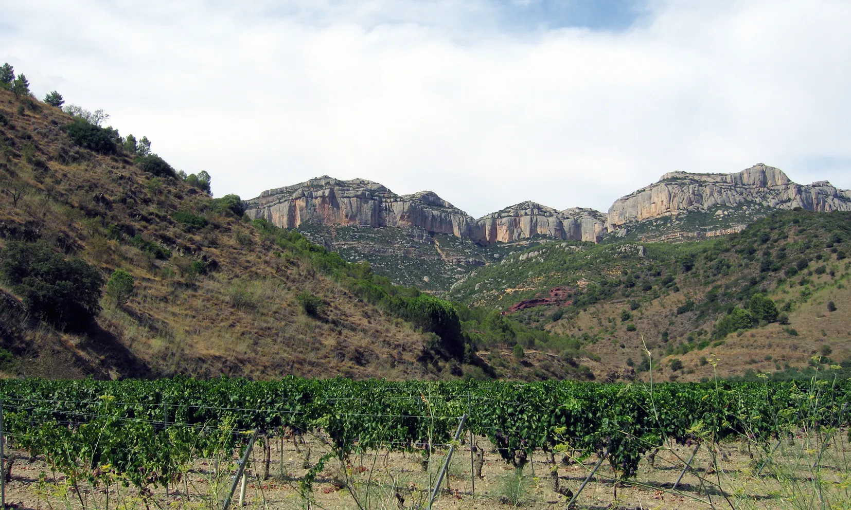 Parc Natural de la Serra del Montsant (imatge: Gepardenforellenfischer, wikipedia)