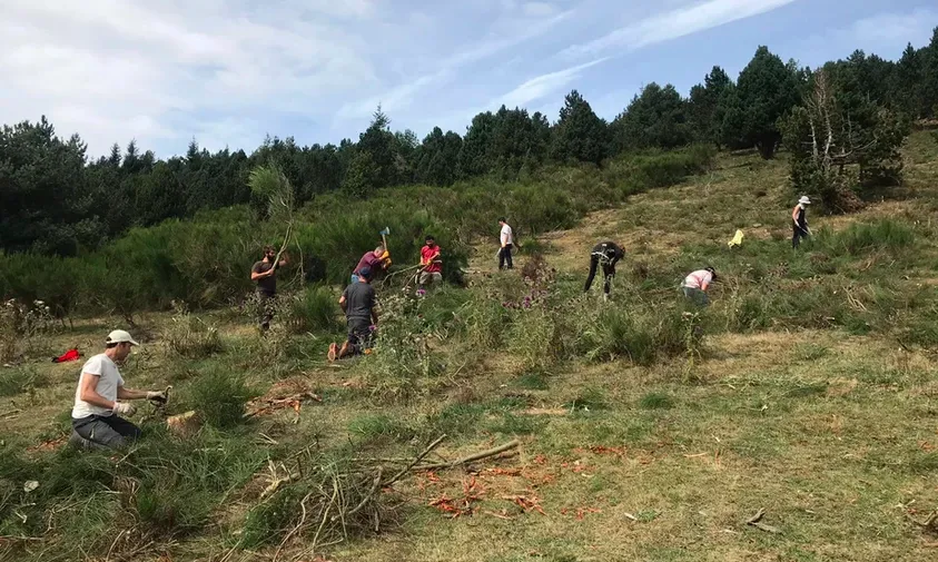 Estada a l'entorn d'Espinavell.