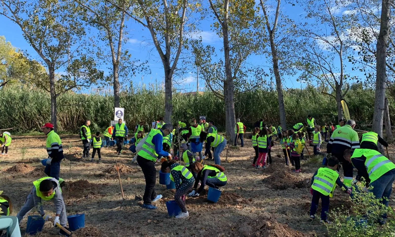 Imatge de la Tercera Plantada Popular de Sant Salvador.